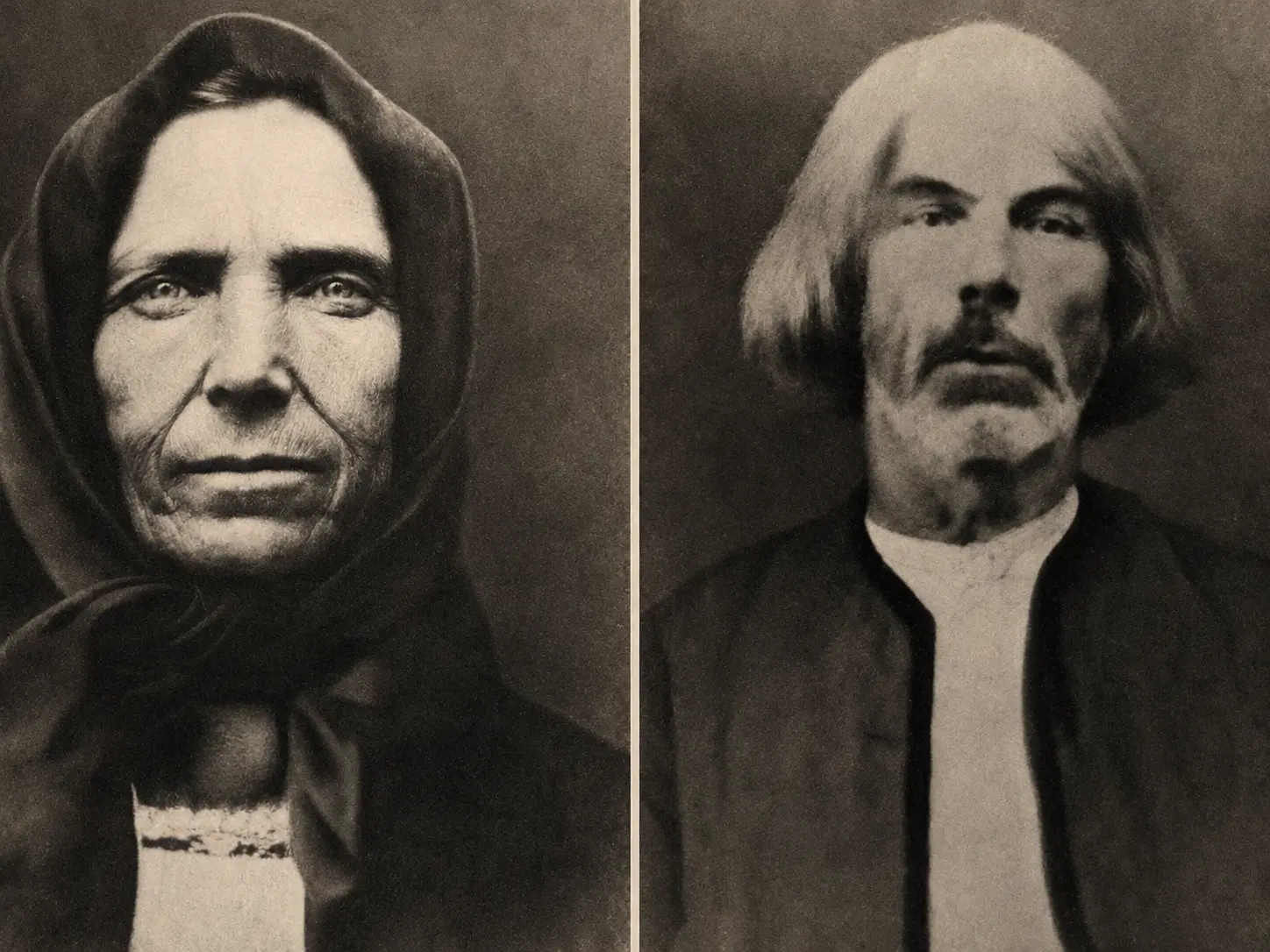 Portret al străbuneilor, rădăcinile familiei Vlădicu